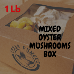 MIXED OYSTER BOX - 1 lb