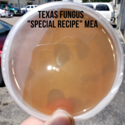 Texas Fungus "Special Recipe" - Pre-Poured Agar Plates (MEA)