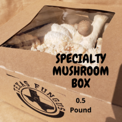 MIXED SPECIALTY BOX - 0.5#